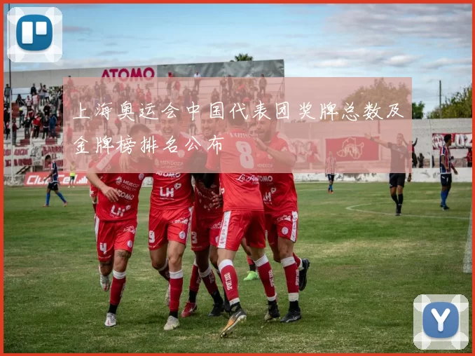 上海奥运会中国代表团奖牌总数及金牌榜排名公布