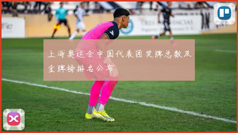 上海奥运会中国代表团奖牌总数及金牌榜排名公布