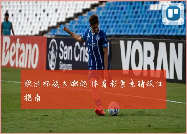欧洲杯战火燃起 体育彩票竞猜投注指南