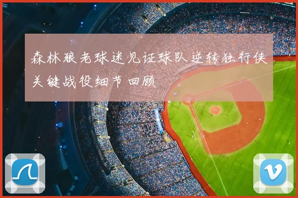 森林狼老球迷见证球队逆转独行侠关键战役细节回顾