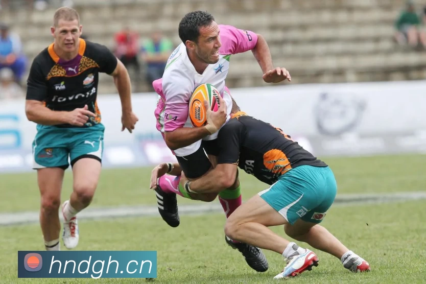 奖项图2